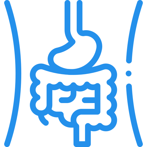 digestive-system